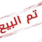 ارانب بابيون عملاق ازواج