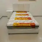 عروض الشتاء واصلت