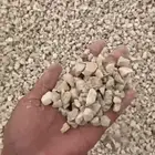 دفان صبيز كساره