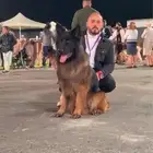 مدرب كلاب