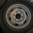 جنوط ددسن وكاله