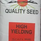 بذار برسيم امريكي سرالصحراء كاف 101