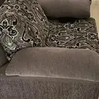 كنبتين صغيرات بحالة جيدة