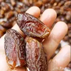الرياص