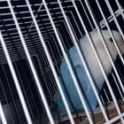 روزذكراليف