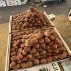 تمر جالكسي وسكري درجه اولى تمور القصيم