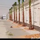 الشرقيه الدمام حفرالباطن جميع مناطق المملكة