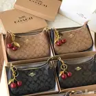 شنط ماركات عالميه ماستر .