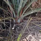 لدينا فسايل مصيفه فسايل مطلعه تمرها فيه