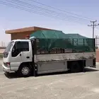 دينا شبك نقل عفش