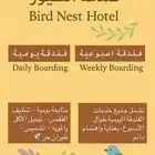 فندق طيور بسعر خيالي لفترة محدودة