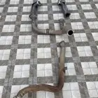 هدرز شاص راسين مع دبه الكترونيه