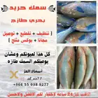 سمك بحري طازه لباب بيتك