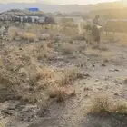 عسل جبلي جديد من منحلي شخصيا  صافي مضمون