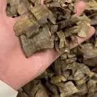 عود صيني كينام