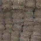 برسيم   مخلوط