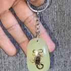 تعليقة عقرب مضيء