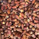 تمور المدينة ( عجوة - صفاوي- عنبره - صقعي )