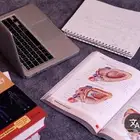 مدرسة مادة Medical Terminology ( مصطلحات طبية )