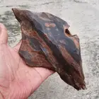 كسرتين عود كلمتانا وزنها 270 و400 جرام نوادر رائحة وشكل جميل