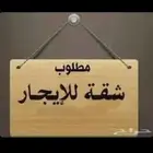 طلب شقه للايجار