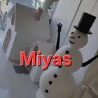 رجل ثلج ..فلين