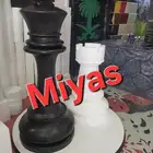 شطرنج فلين