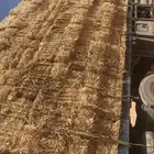 تبن بر (قمح) للبيع