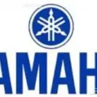 اورق اصوات وايقاعات