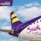 تذاكر طيران اديل اسعار مجنونه