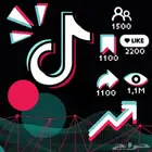 متابعي تيك توك 10k ب 100 ريال فقط ارخص سعر