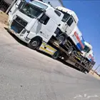لوبد في ضبا