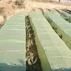 مطلوب مزرعه للايجار السنوي مكشوف او بيوت محميه في نطاق الريا