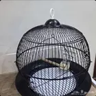 قفص عصافير فخم