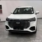 جيلي أوكافانجو 2025