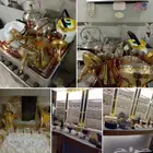 قهوجين الدمام والشرقية