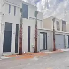 نخل واشنطني زينه