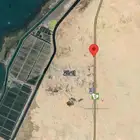 موقع بالليث الغاله الشارع العام