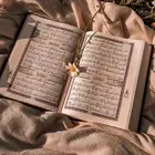محفظه قران اونلاين مجود للأطفال والنساء حفظ داخل الحلقه
