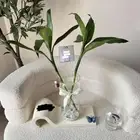 سمكة الفايتر