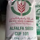 متوفر برسيم باسفييك امريكي ك101