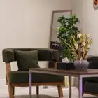 شقق مفروشه للايجار بجازان