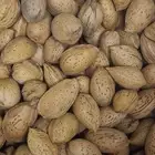 لوز بجلي مزارع الباحة