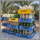 صنديق ببسي للبيع