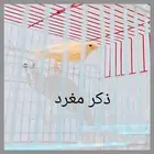 كناري ذكور واناثي واجواز
