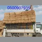 موجود تبن قمح شده طيب مقس 90 تبن ناعم سعر 18ريال مع توصيل