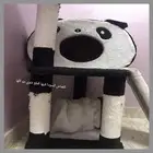 بيت قطط