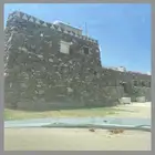 النماص حلباء العلايه