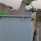 خلفه حره معها قعود