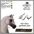 تم البيع عربة خيل